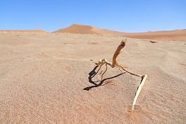 Namibia Wüste2